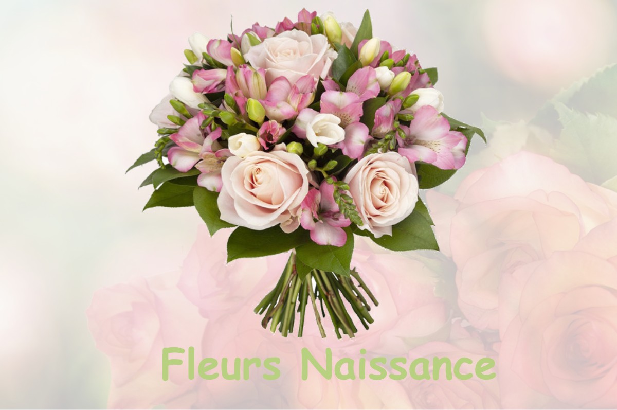 fleurs naissance SERGENAUX