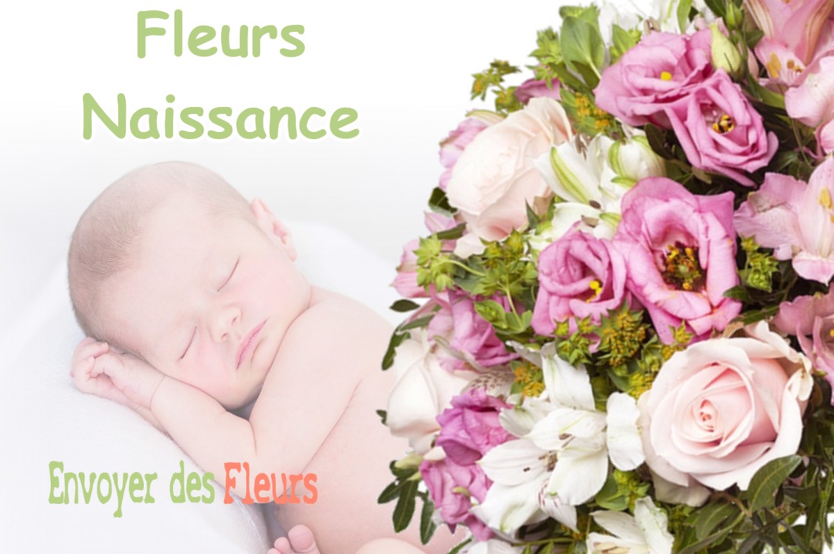 lIVRAISON FLEURS NAISSANCE à SERGENAUX